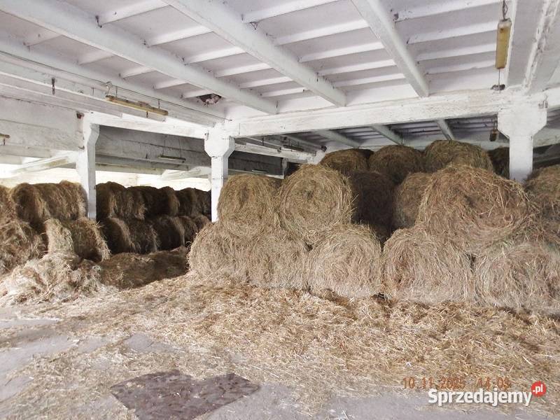 Siano pod dachem 2025 Ostróda