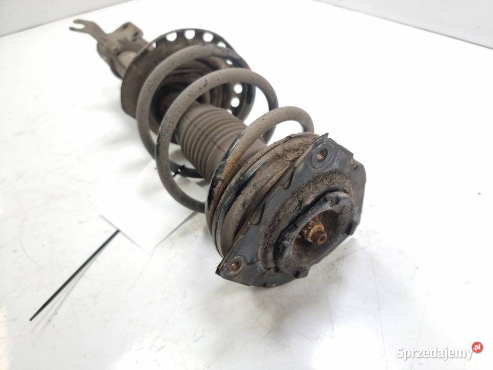 AMORTYZATOR PRAWY PRZÓD RENAULT CLIO III kujawsko-pomorskie