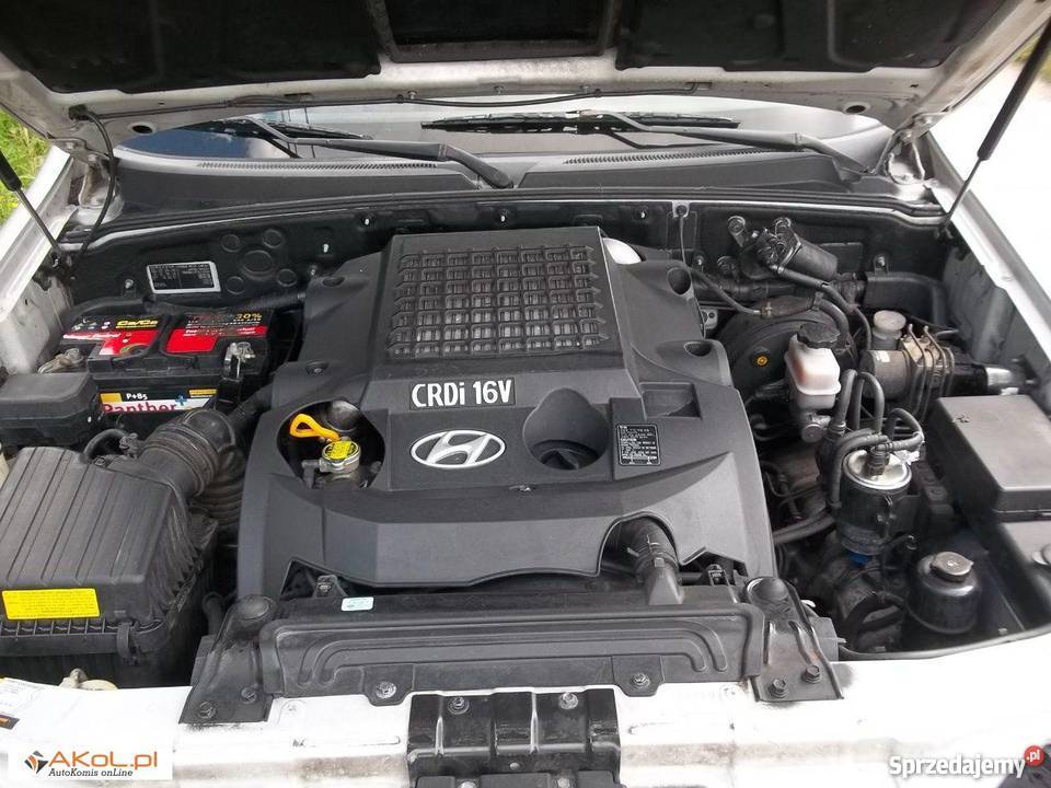 Hyundai Terracan Szczecin