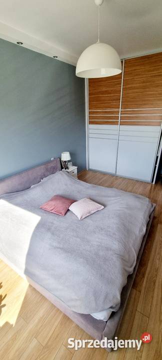 Mieszkanie 62m2 centrum miasta park skarbowa miejsce parkingowe