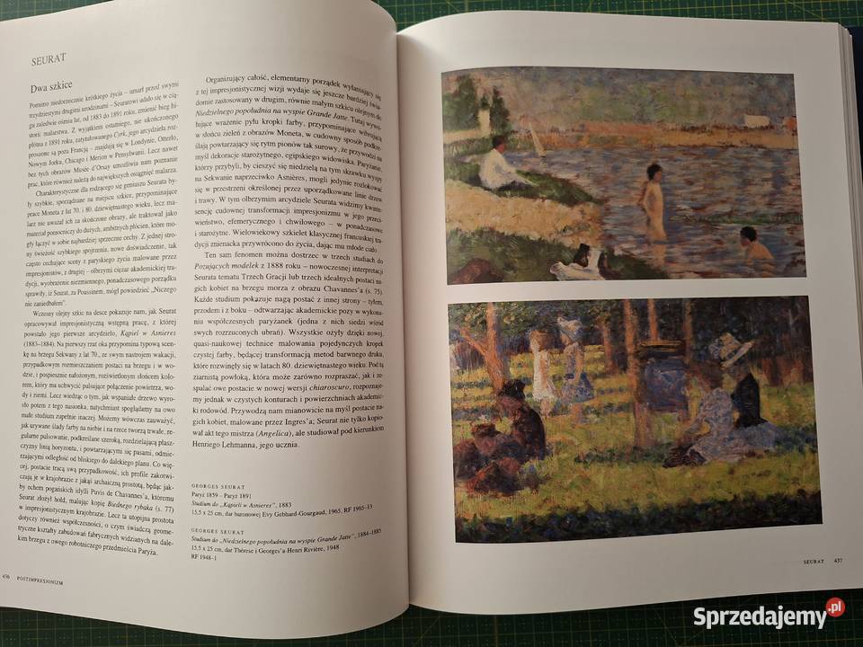 Arcydzieła malarstwa R Rosenblum Musee DOrsay Kraków sprzedam