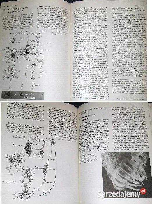 Biologia Claude A Villee Chełm sprzedam