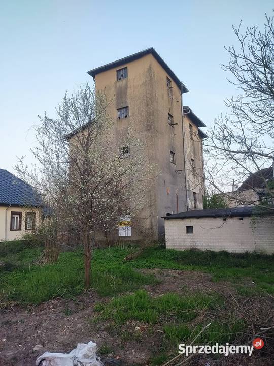 Renesansowy dom z ogrodem o zachodzie słońca na Chojna