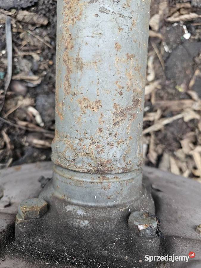 Most z dyferencjałem oś żuk