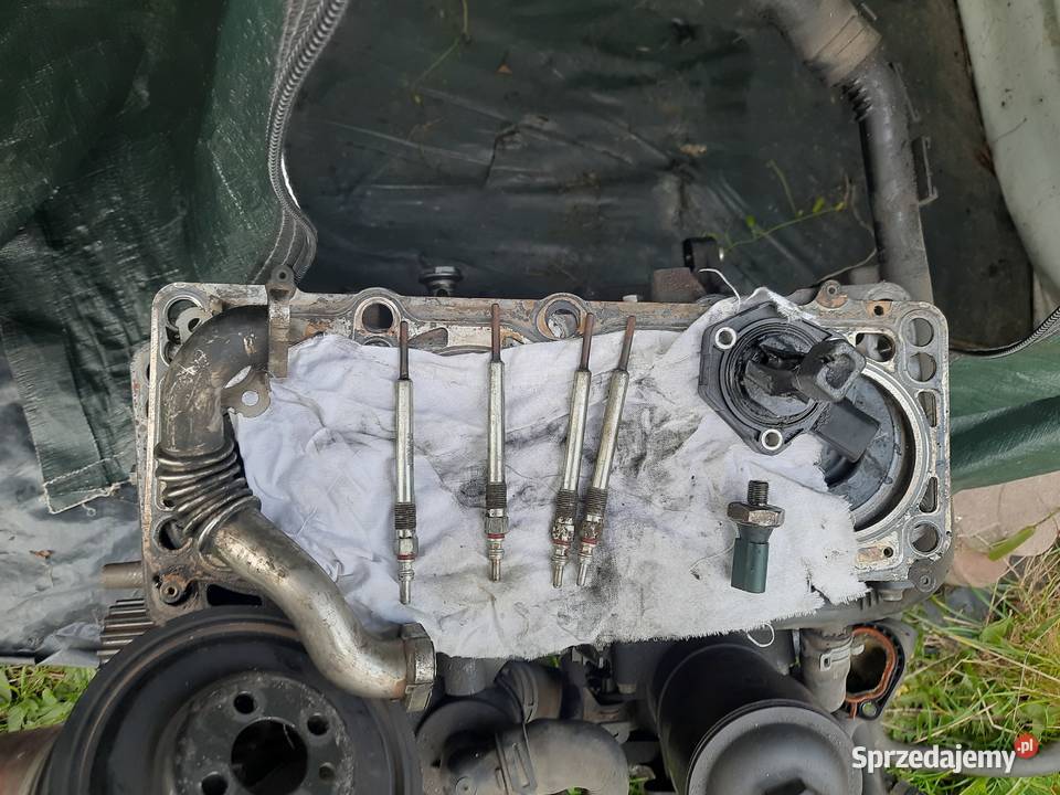 Silnik golf VI 16 tdi 105 na części śląskie Będzin