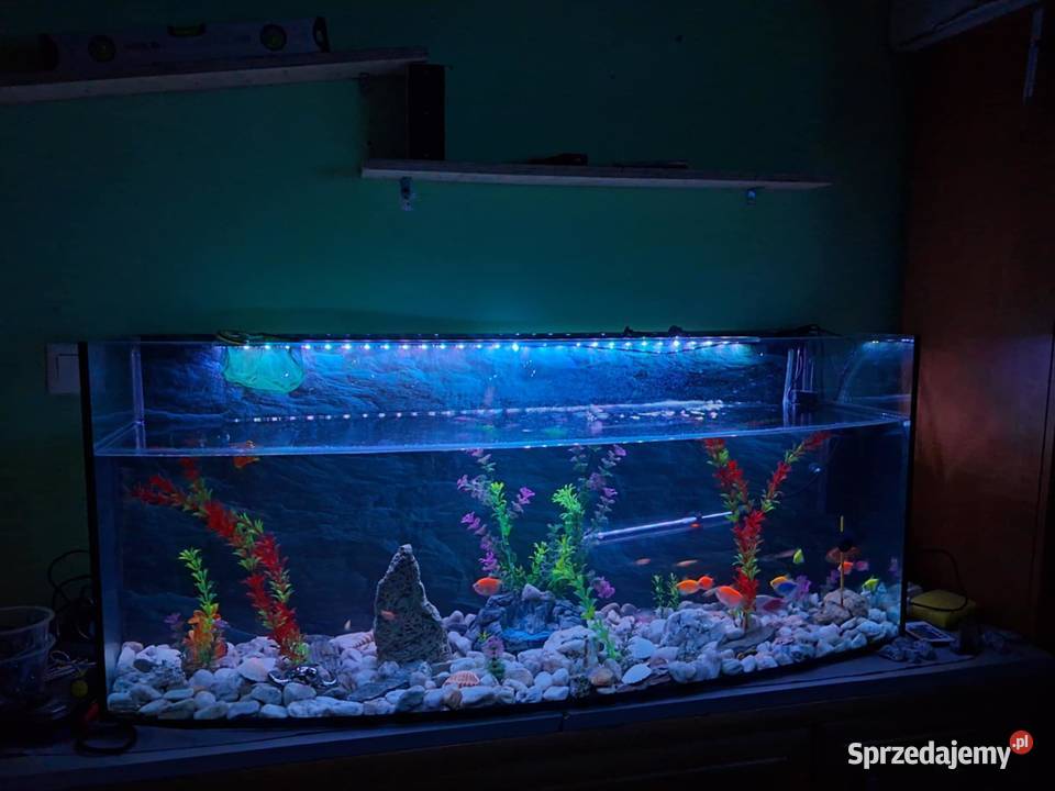 Sprzedam akwarium 220l Wałbrzych