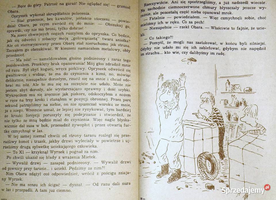 Szkolny lud Okulla i ja Edmund Niziurski Pozostałe Chełm sprzedam