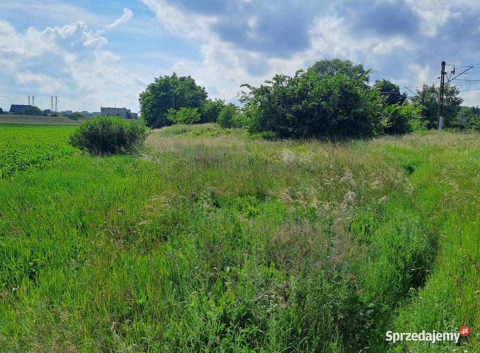Działka Osiek nNotecią 3300m2 Osiek nad Notecią