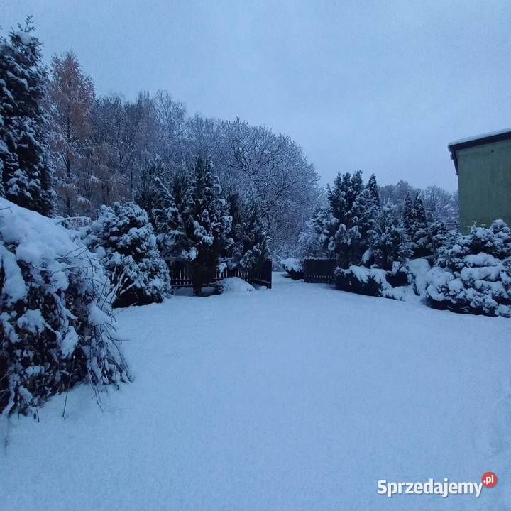Sprzedam Dom z lasem w Przyszowicach Sprzedaż Przyszowice