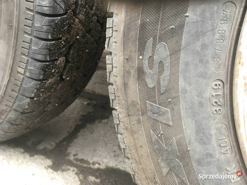 Przyczepka Wiola W2 minikoparka Lublin