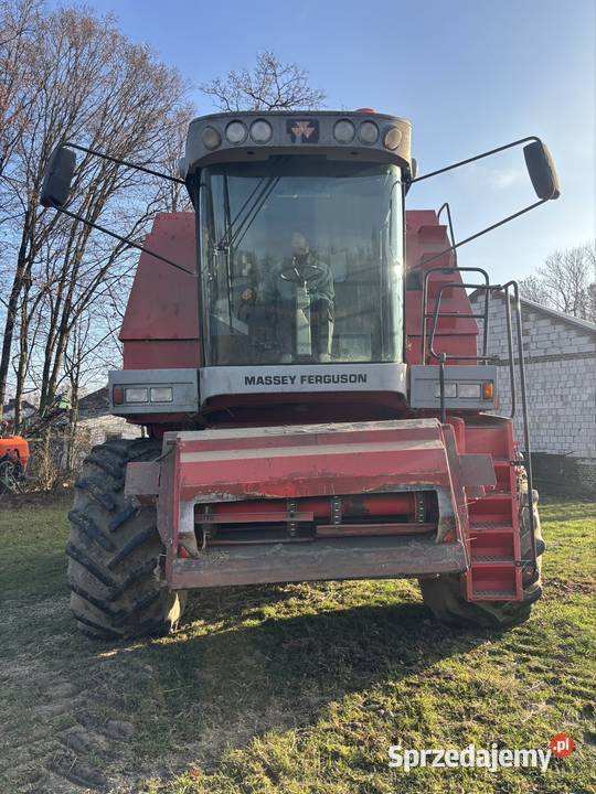 Massey Ferguson 38 Zbożowe lubelskie Boża Wola