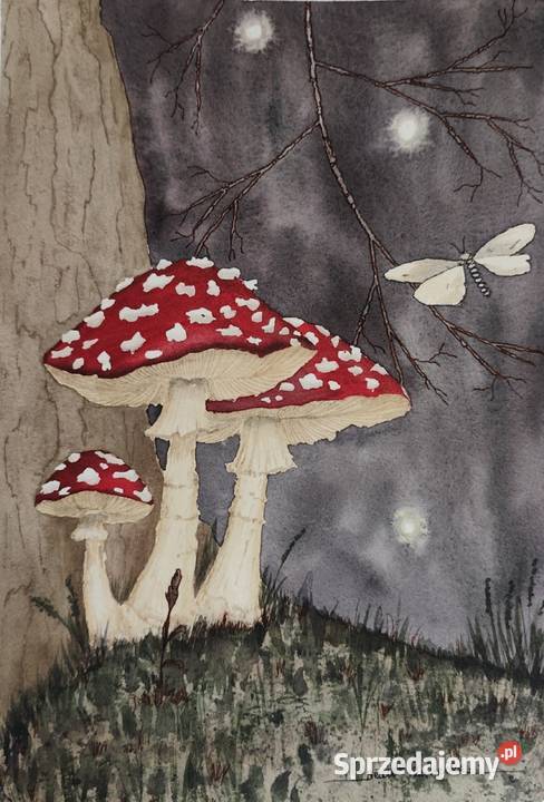 Akwarela Akwarelka Obraz pt Muchomorki Malarstwo Osobnica sprzedam