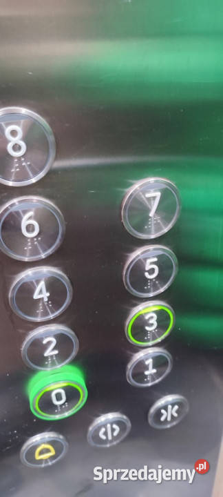 Kawalerka Mazowieckiej w Krakowie Kraków