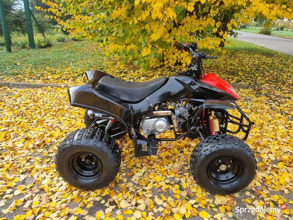 Quad Jumper 125cc Duża Rama 11r koła 8 Stan Nowy Kruszwica