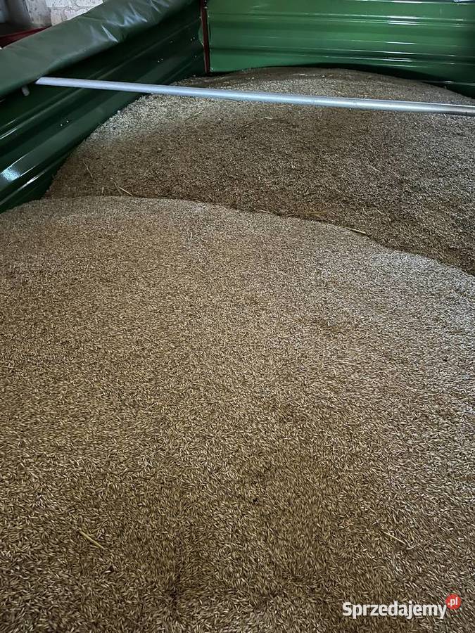 Sprzedam mieszanka tegoroczną 2025