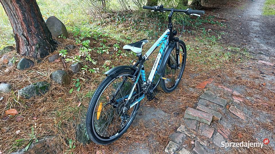 Alu Rower Górski Atb Młodzieżowy Morrison Beaver dolnośląskie Wołów