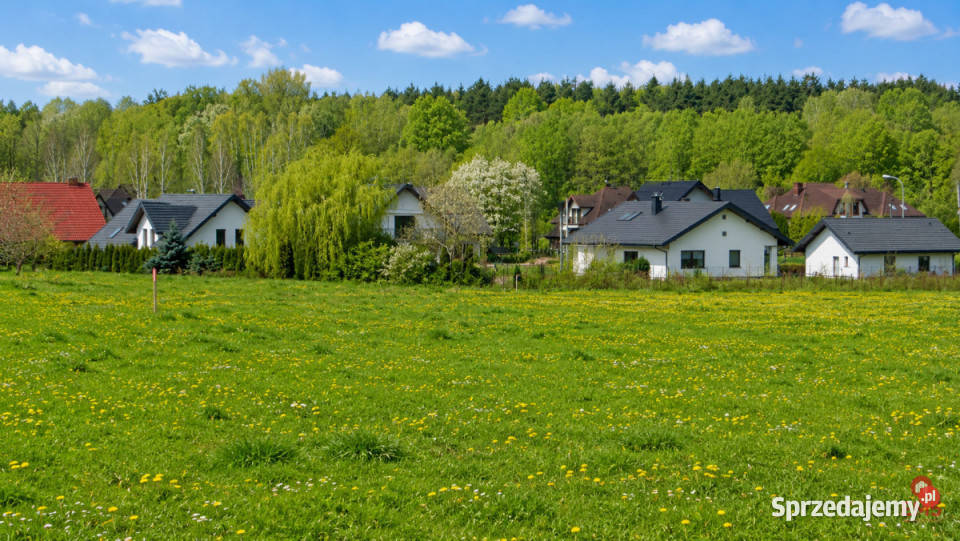 Działka 1000m2 Tołcze Grunty i działki