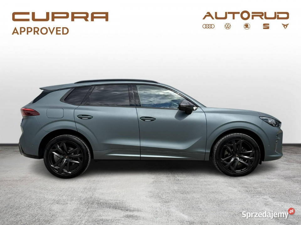 Cupra Terramar VZ 20TSI 265 DSG 4X4 2025 wspomaganie kierownicy Kielce