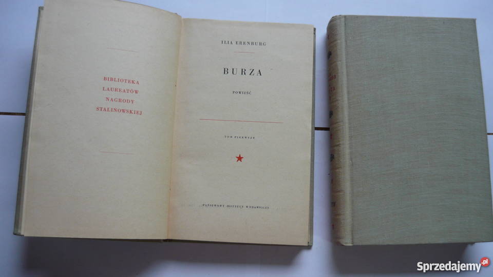 Burza Ilia Erenburg Myszków