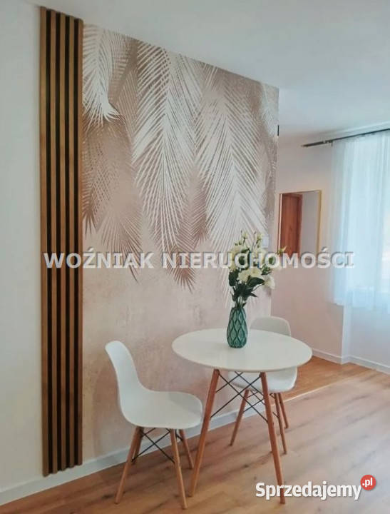 Mieszkanie Wałbrzych 489m2 2 pokoje Nieruchomości
