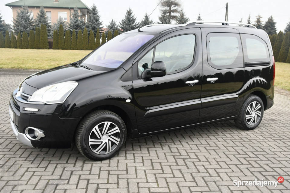 Citroen Berlingo 16ehdi DUDKI11 5 ASR (kontrola trakcji) Kutno