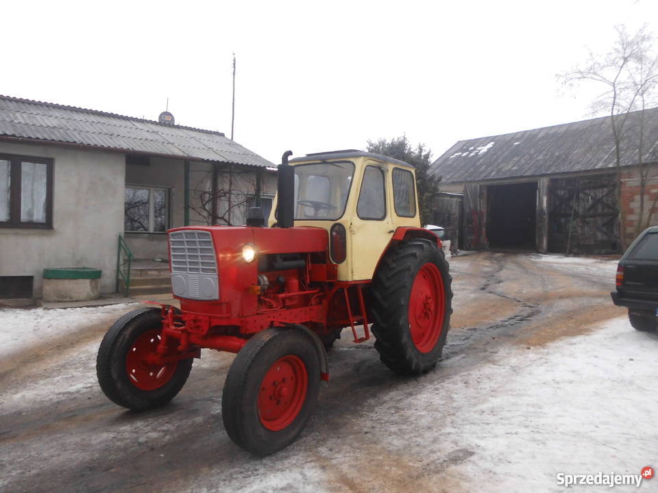 sprzedam Jumz Białoruś Bodzanów