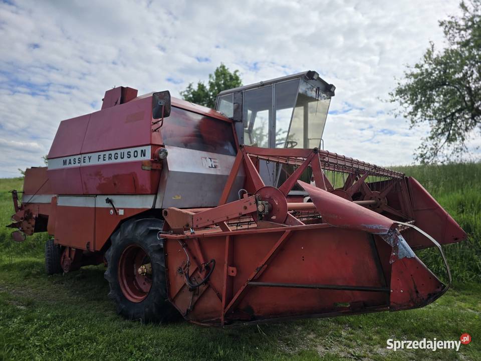 Massey ferguson 506 sprzedam