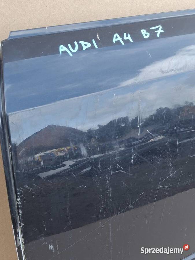 AUDI A4 B7 DRZWI LEWY PRZÓD LEWE PRZEDNIE Bieleń