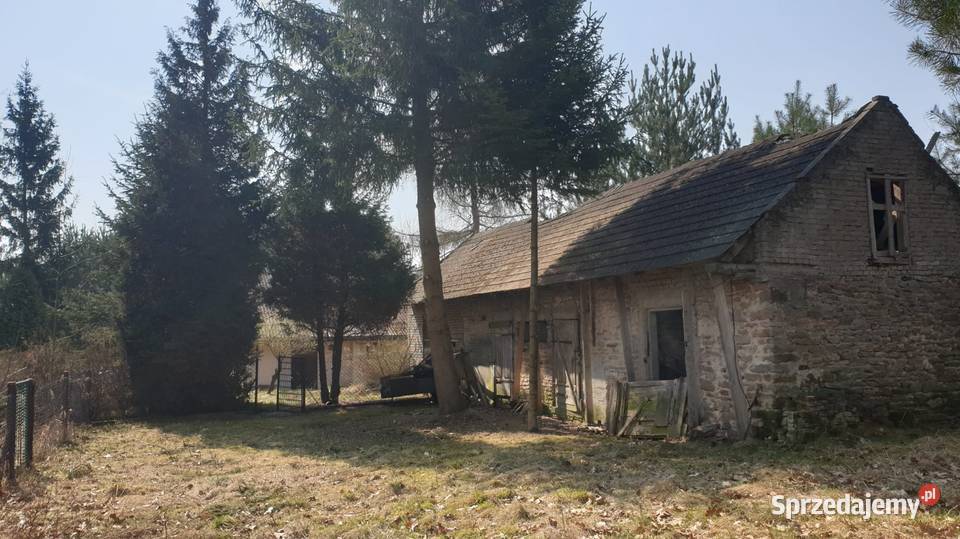 Działka dom budynki gospodarcze prąd Justynów
