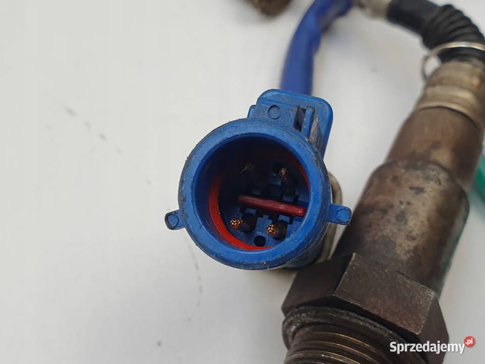 SONDA LAMBDA Ford Focus C Grand C Kuga S 18 20 osobowe Części samochodowe Chełm
