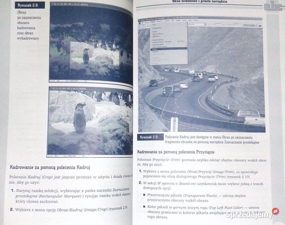 ABC Photoshop CS3CS3 Aleksandra Rok wydania 2008 Chełm