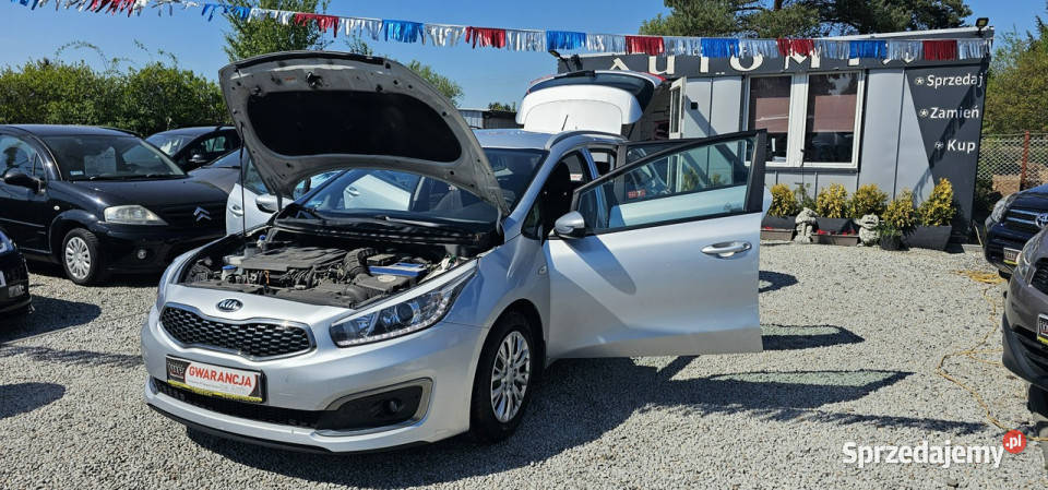 Kia Ceed Salon PolskaOszczędny2x Świdnica