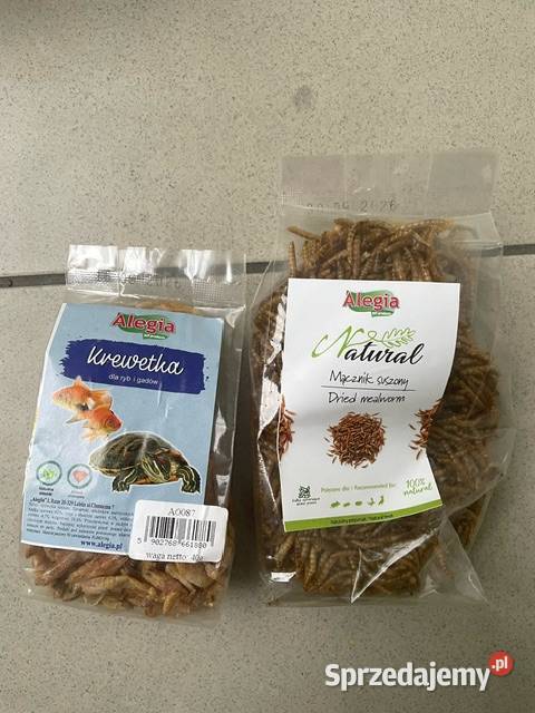 Sprzedam akwarium 100x50x50 z wyposażeniem Wadowice