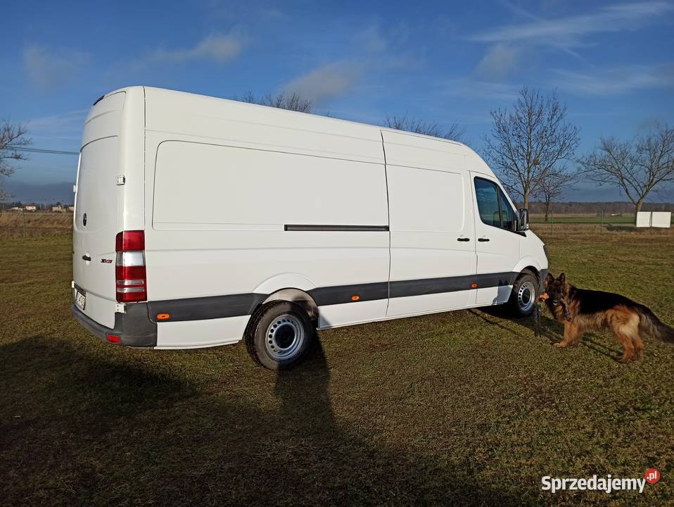 Usługi Transportowe Bus Taxi Bagażowe Wołczyn opolskie Kluczbork