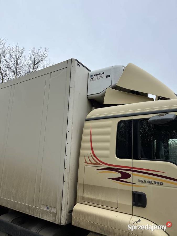MAN TGA 18380 chłodnia Gromada