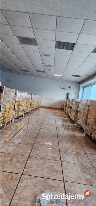 Palety DeWalt wielkopolskie Hiszpania