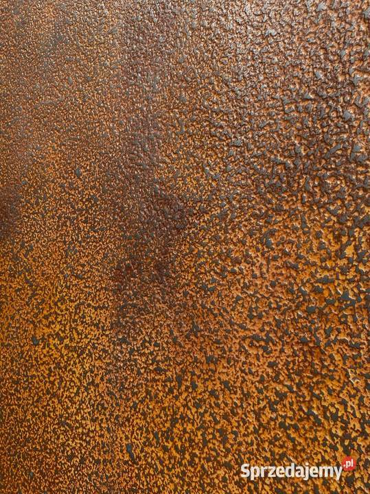 Kamień w Rolce CORTEN TERRA 280X122 Warszawa