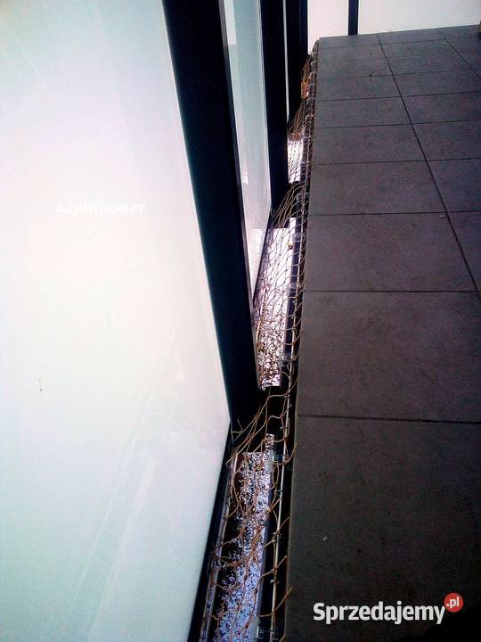 Siatki zabezpieczające kotów na balkon Bez Warszawa usługa dla zwierząt