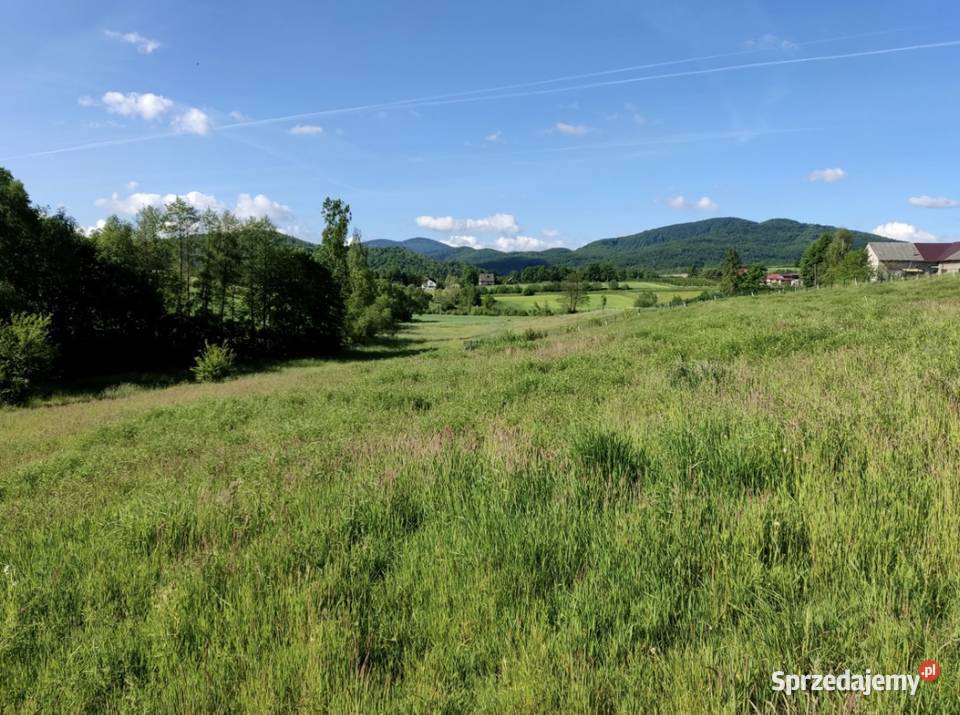 Działka budowlana Dąbie gmina Raciechowice małopolskie sprzedam