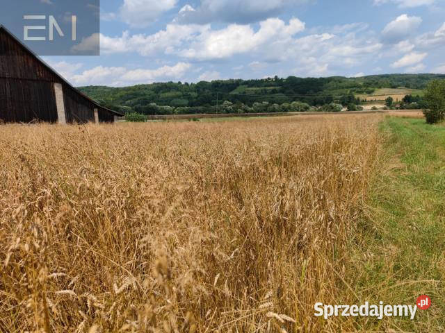 sprzedaży gruntu 3020m2 Godowa