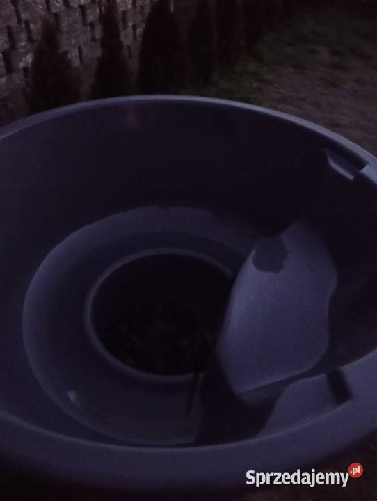 Jacuzzi balia bania Jaworzno