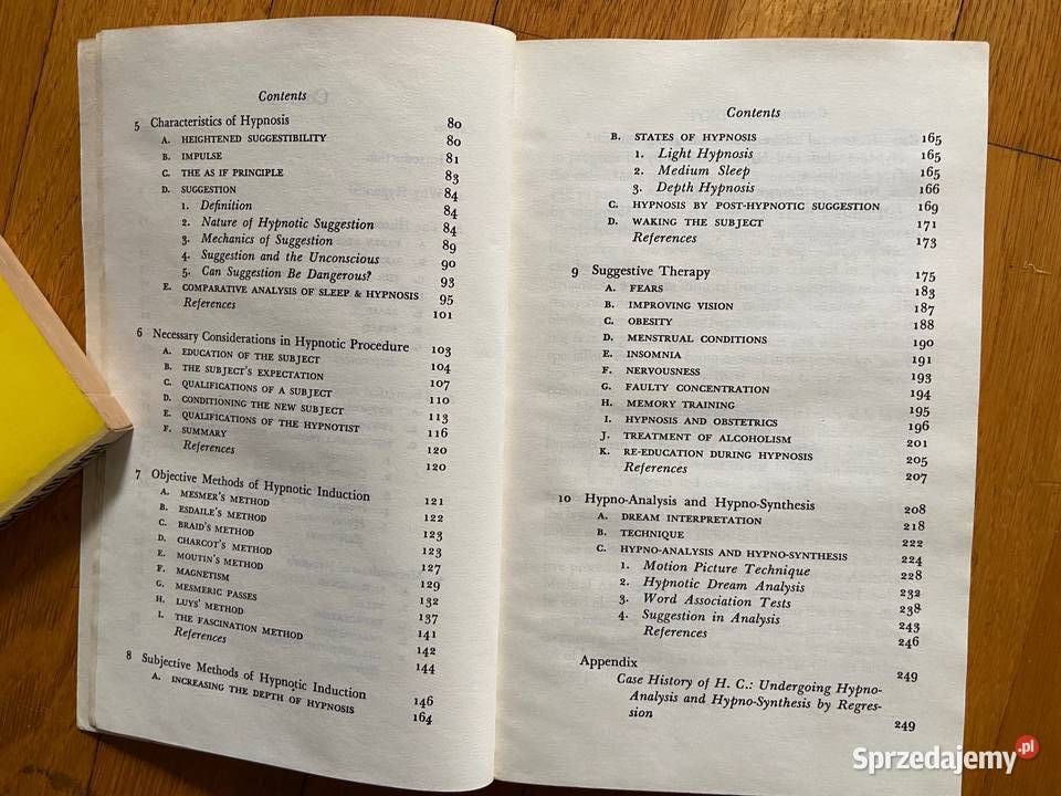 Bernard Gindes Concepts of Hypnosis miękka Katowice