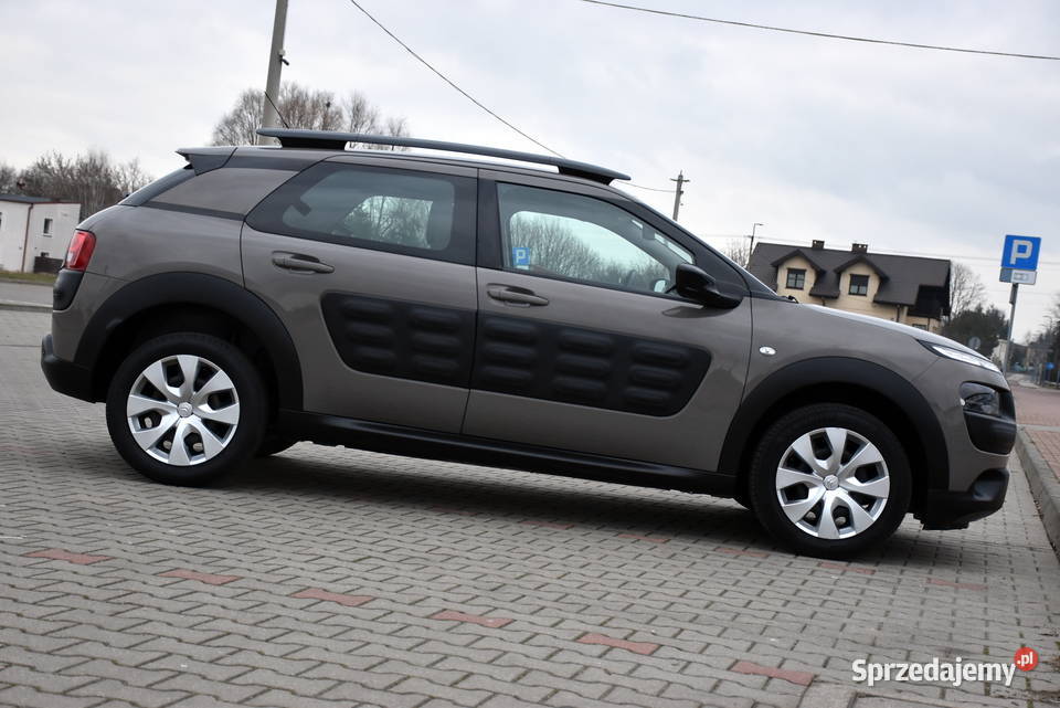 Citron C4 Cactus FEEL EDITION 12MPI 82 79130 Zduńska Wola