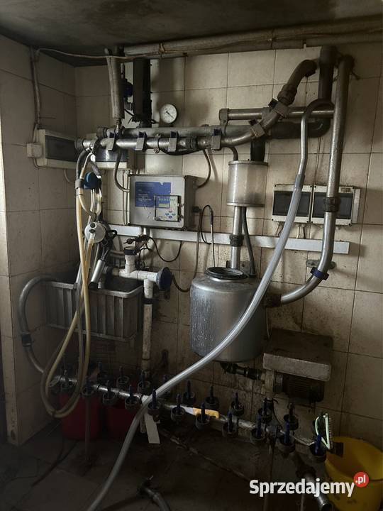 Dojarka Polanes Tomaszów Lubelski