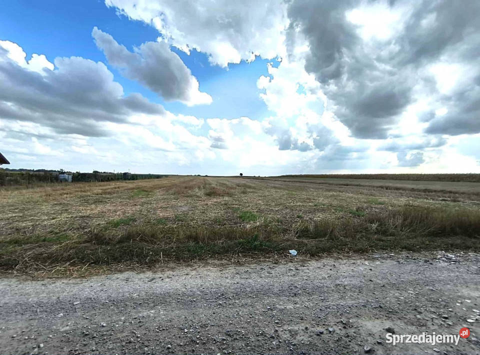 Działka Osówka 1100m2 gaz lubelskie