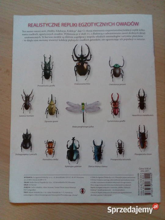 Gazetka owady Szczecin