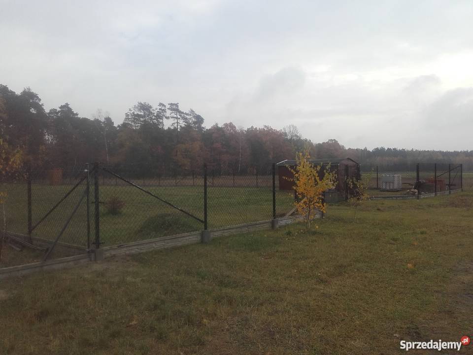 Sprzedam działki Puczniew