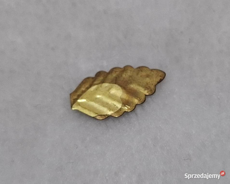 Listek z drzewka pomyślności 67x12mm Kreatywne Czeladź