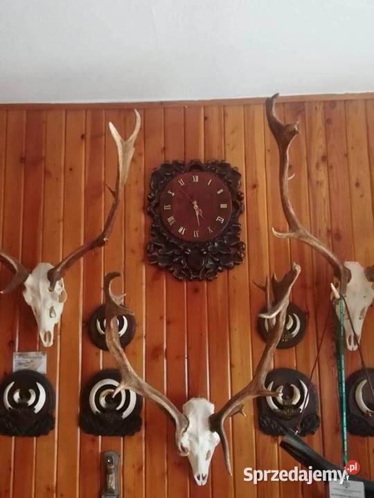Rzeźbiony zegar ścienny Odolanów