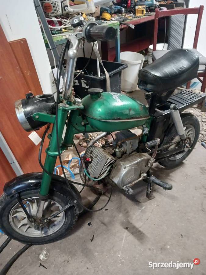 Motorynka pony